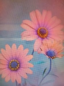 IMG_20190217_144617